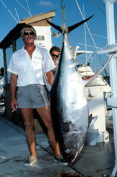 Mate Rick Breedlove with Yellowfin tuna on the scales at Garrison Bight City Marina..