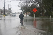 Bicyclist headed east on Flagler Avenue flooded by Hurricane Wilma - Key West, Florida.
