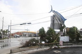 Damage to marlin mount at the Garrison Bight City Marina..