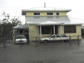 Yard at house on Flagler Avenue flooded by hurricane Dennis - Key West, Florida.