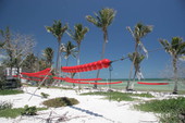 Lobster buoys.