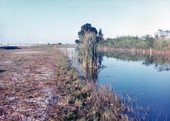 View of the Tamiami Canal along U.S. 41.