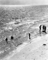 View showing people enjoying a Gulf Coast beach.