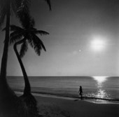 Beach scene in Florida.