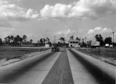 View of Road 600 - Hillsborough County, Florida