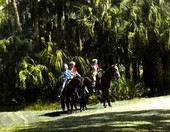 Girls on horseback