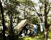Group of young men camping out