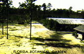 Florida Botanical Garden and Arboretum