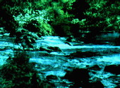 River rapids