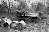 Turpentine barrels and old wagon.