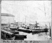 Boats docked on the banks of the St. Johns River