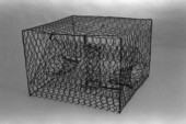 Crab trap