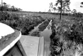 Driving to Scott Ranch, site of a Green Corn Dance- Okeechobee, Florida