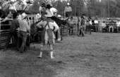 Bull riding at the Macclenny Rodeo- Macclenny, Florida