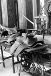 Side saddle of Foster's time - Hawthorne, Florida