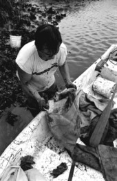 Mike Hilchey getting a sack to gather oysters on Simpson's Creek.- Jacksonville, Florida.