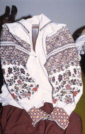Black and red embroidered shirt