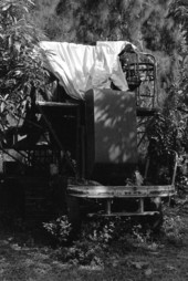 Hunter's swamp buggy - Homestead, Florida