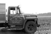 Truck used to haul seed potatoes to the field - Hastings, Florida.
