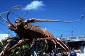 Metal lobster sculpture made by Richard Blaes- Marathon, Florida