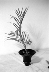 Ikebana floral arrangement made by Atsuko Lefcourte- Lake Park, Florida