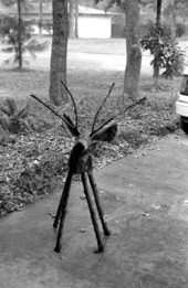 Reindeer sculpture made by John Mitchell- Gainesville, Florida