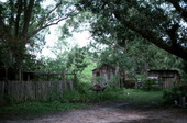 Outbuildings on Ada Mickler's property- Saint Augustine, Florida