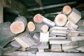 Wood gathered by woodcarver Creek Indian Bobby Thomas Johns being stored for seasoning - Pensacola, Florida.