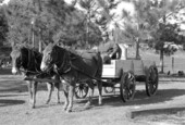 Raymond Richardson, apprentice of wheelwright and coach maker John Luther, and his team of mules- McAlpin, Florida