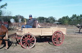 Raymond Richardson, apprentice of wheelwright and coach maker John Luther, and his team of mules- McAlpin, Florida