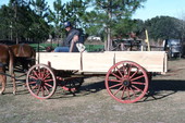 Raymond Richardson, apprentice of wheelwright and coach maker John Luther and his team of mules- McAlpin, Florida