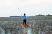 Glen Simmons navigating his way through the "River of Grass" on his glades skiff- Florida City, Florida.