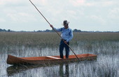 Glen Simmons navigating his way through the "River of Grass" on his glades skiff- Florida City, Florida.