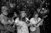 Members of the Home Grown Stringband performing- Miami, Florida