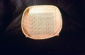Palmetto stem basket made by Marion Bowers