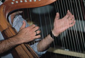 Hands of Jose Palmi playing harp