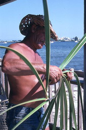 Palm frond hat maker Vic Simmons cutting a palm to weave a hat - Boynton Beach, Florida.