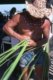 Palm frond hat maker Vic Simmons cutting a palm to weave a hat - Boynton Beach, Florida.