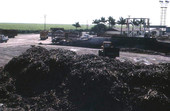 Sugar cane at a mill waiting to be processed - Pahokee, Florida