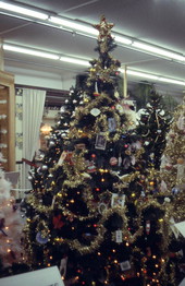 Florida Christmas tree designed by Oytuia (?) Strauss - West Palm Beach, Florida.