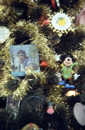 Florida Christmas tree designed by Oytuia (?) Strauss - West Palm Beach, Florida.