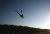 Helicopter spraying sugar cane field - Moore Haven, Florida