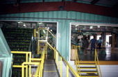 Pepper packing house - Boynton Beach, Florida.