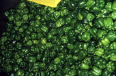 Peppers at packing plant - Boynton Beach, Florida.