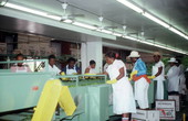 Workers sorting peppers - Boynton Beach, Florida.
