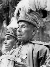 Seminole medicine man Josie Billie at the Florida Folk Festival - White Springs, Florida