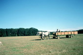 Patricia Duval and children in horse-drawn wagon - Wellborn, Florida