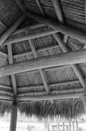 Detail of Seminole chickee roof at Scott Ranch - Okeechobee, Florida