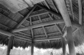 Detail of Seminole chickee roof at Scott Ranch - Okeechobee, Florida