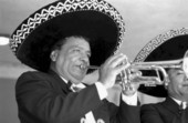 Close up of the trumpet players in Los Mariachis de Aguilar Real performing at Cinco de Mayo - Immokalee, Florida.